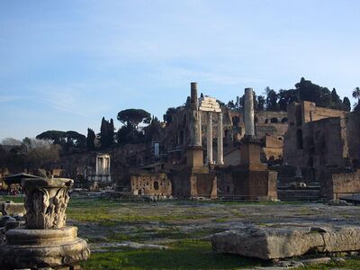 The Roman Forum (Latin: Forum Romanum) was a rectangular forum at the heart of the city of Ancient Rome. The Forum was used for military triumphs, elections, criminal trials, gladiatorial matches, and as a meeting- and business-place. The Forum survives today in ruins, and is the oldest structure in the modern city of Rome.