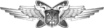 USAF Multi-Domain Warfare Officer Badge.png