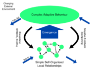 Complex adaptive system.svg