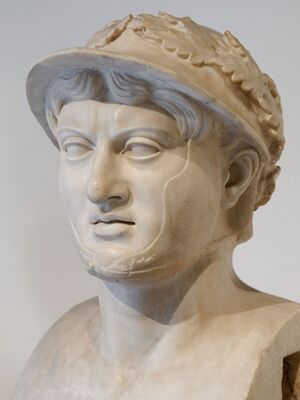 Pyrrhus MAN Napoli Inv6150 n03.jpeg