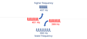 diagram showing change in waves emitted by two electric fish to avoid each other's frequency