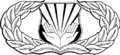 Religious Affairs Airmen Badge (Enlisted)