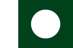 Flag of Pakistan.svg