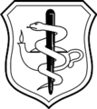 Nurse Corps Badge