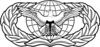 United States Air Force Force Protection Badge.svg