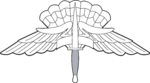 Army & Air Force HALO/HAHO Badge