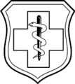 Enlisted Medical Badge