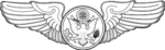 United States Air Force Enlisted Aircrew Badge.svg