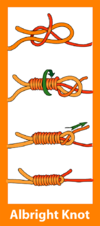 Albright knot diagram retouched.png