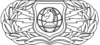US Air Force Information Operations Badge.png