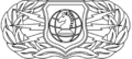 Information Operations Badge[9]