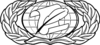 United States Air Force Information Management Badge.svg