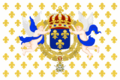 Royal Standard of the King of France (1638-1789); used also as a State Flag by the Kingdom of France under the absolute monarchy