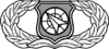 United States Air Force Weapons Director Badge.svg
