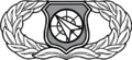 Weapons Director Badge