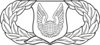 United States Air Force Operations Support Badge.svg