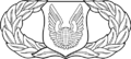 Operations Support Badge