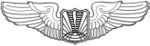 United States Air Force Unmanned Aircraft Operator Badge.jpeg