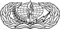 Services Badge (Enlisted)