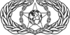 US Air Force Safety Badge.png