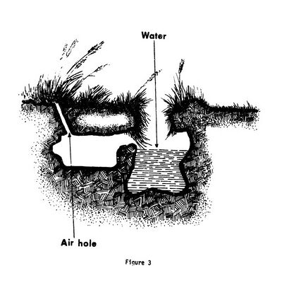 Hole Huntin Figure 3.jpg