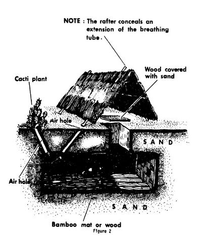 Hole Huntin Figure 2.jpg