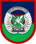 USAF Tactical Air Control Party Beret Flash.svg