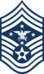 USAF SEAC.svg