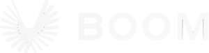 Boom Technology logo (white).svg