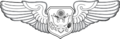 Aircrew Badge (Officer)