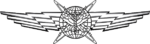USAF - Cyberspace Operator Wings Basic.png