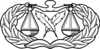United States Air Force Paralegal Badge.svg