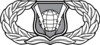 United States Air Force Command and Control Badge.svg