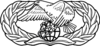 United States Air Force Transportation Badge.svg
